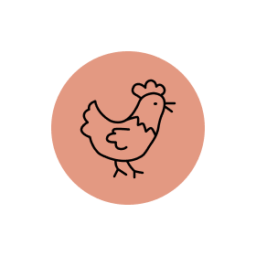 Poulet als Füllung