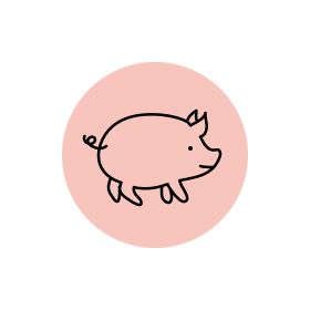 Schweinefleisch als Füllung