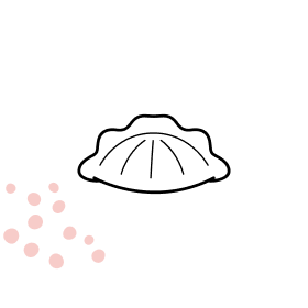 Jiaozi