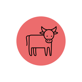 Rindfleisch als Füllung