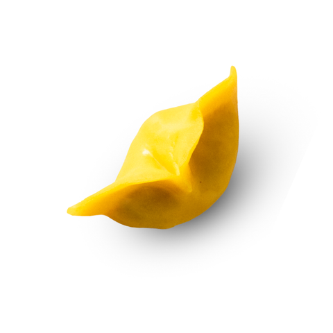 Jiaozi con pollo